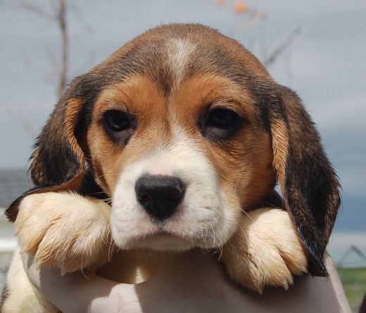 Nuestra niña!!!